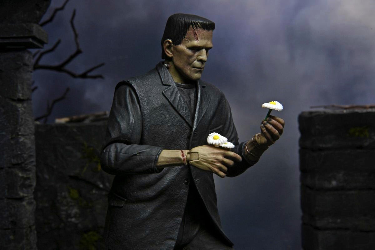 Universal Monsters – Ultimate Frankenstein's Monster (Colour) Action Figure