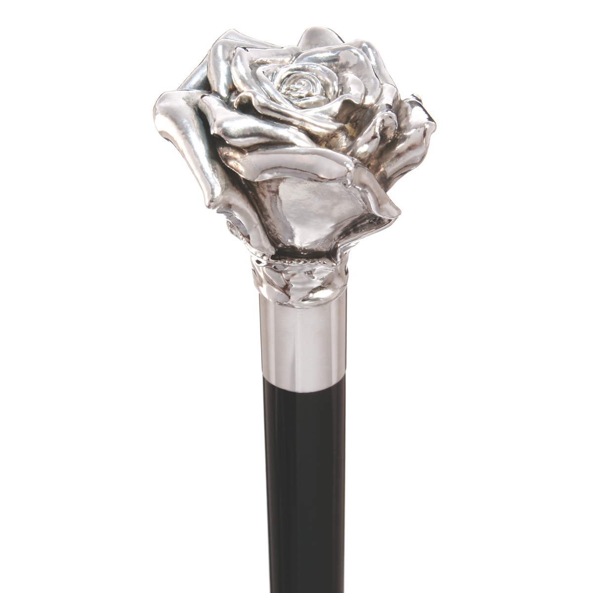 The American Beauty Walking Stick