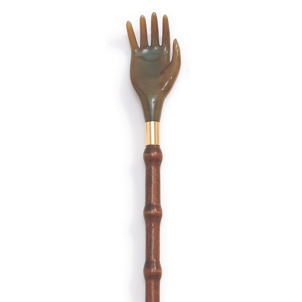 Back Scratcher-Shoehorn