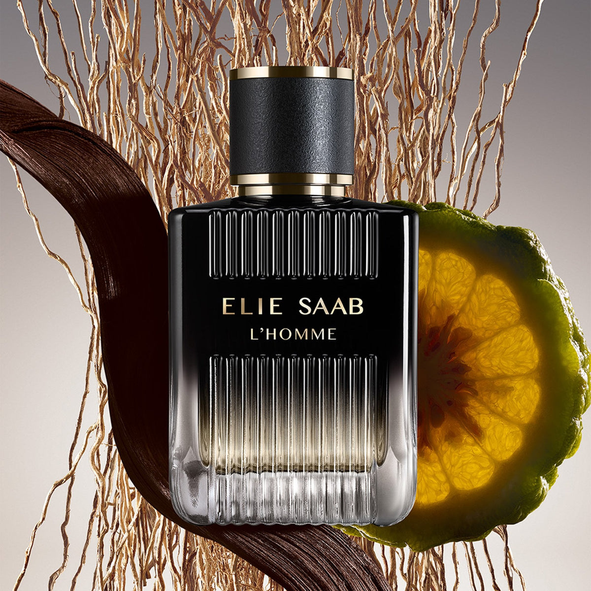Elie Saab L'Homme Eau De Parfum 100ml Spray