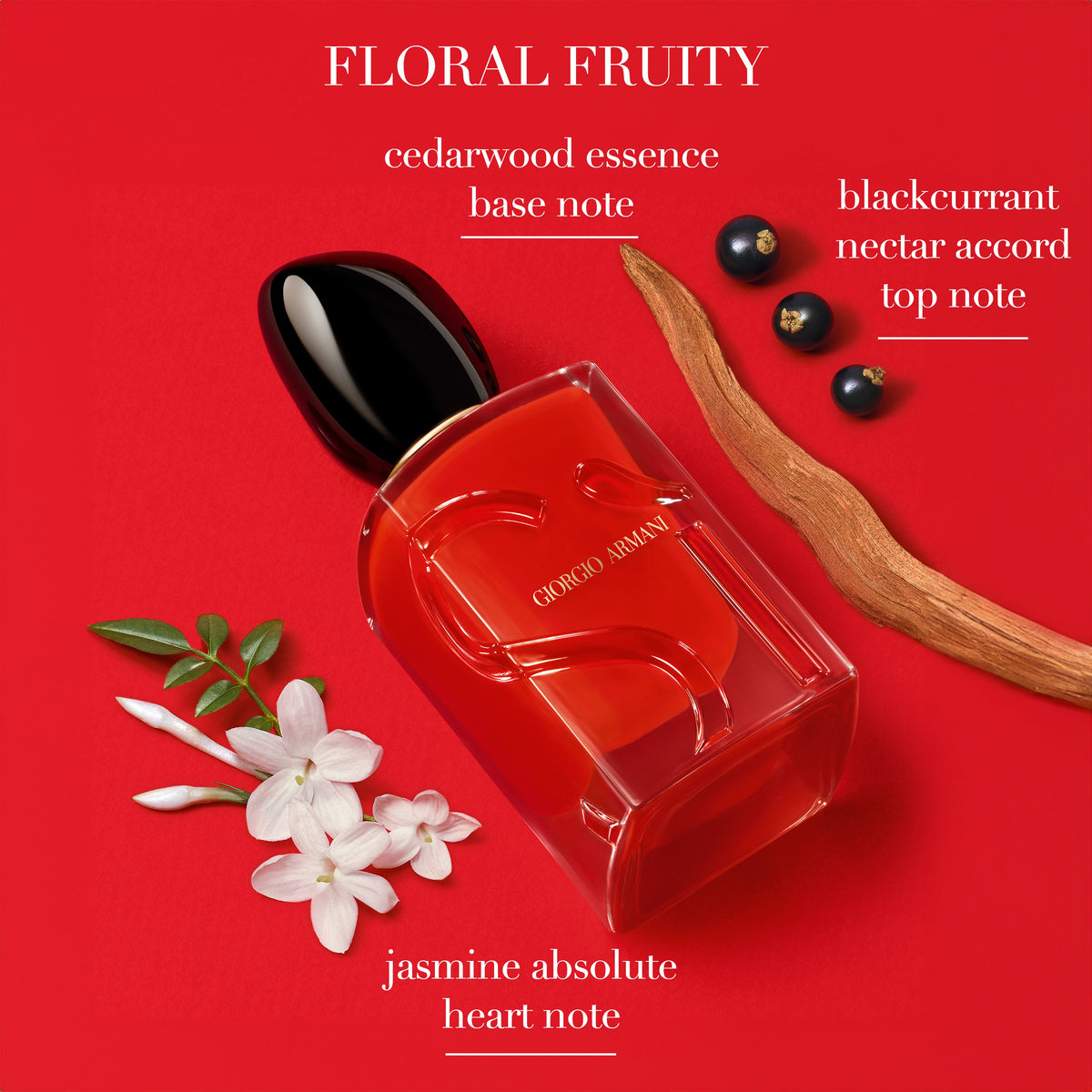 Giorgio Armani Si Passione Eau De Parfum 50ml Spray