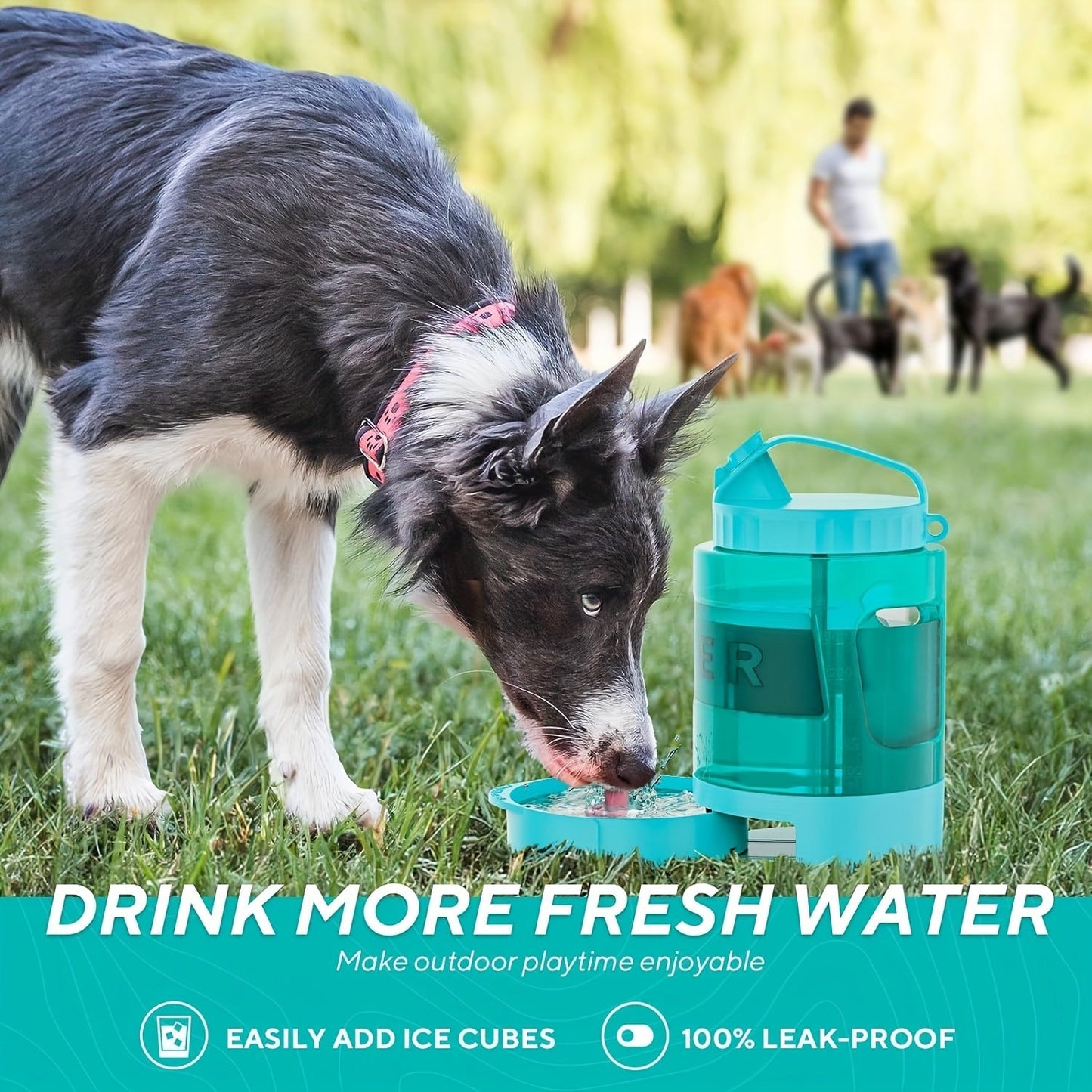 Dog Travel Water Dispenser Bottle