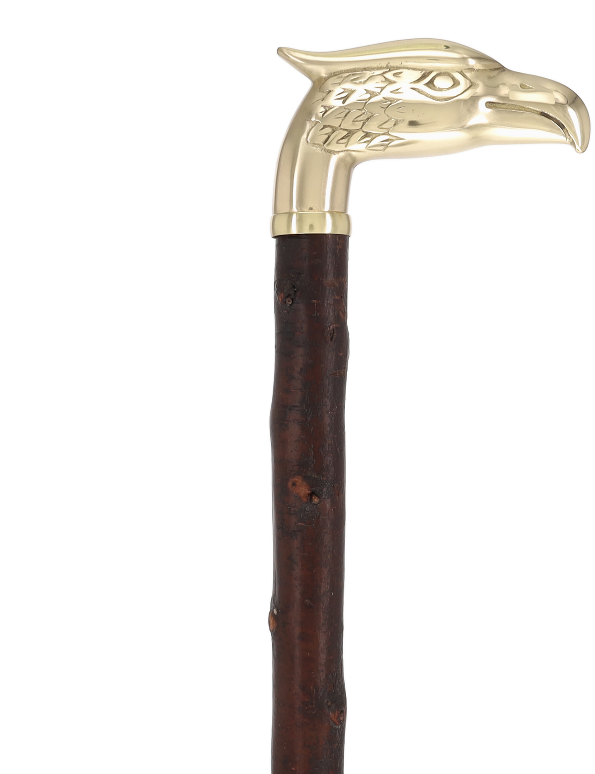 Rare Irish Blackthorn Collector's Cane | Customizable Handle Options