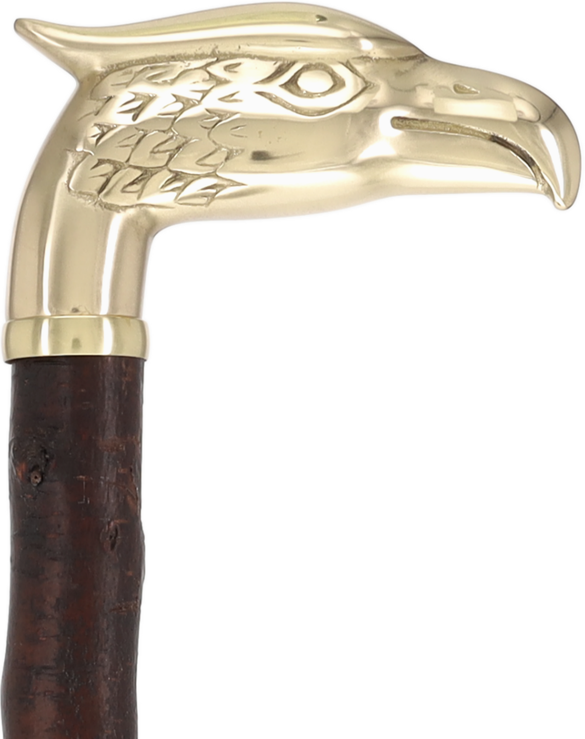 Rare Irish Blackthorn Collector's Cane | Customizable Handle Options