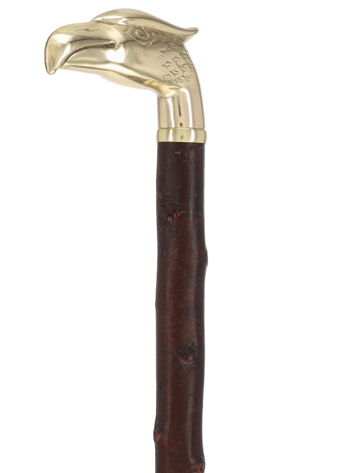 Rare Irish Blackthorn Collector's Cane | Customizable Handle Options