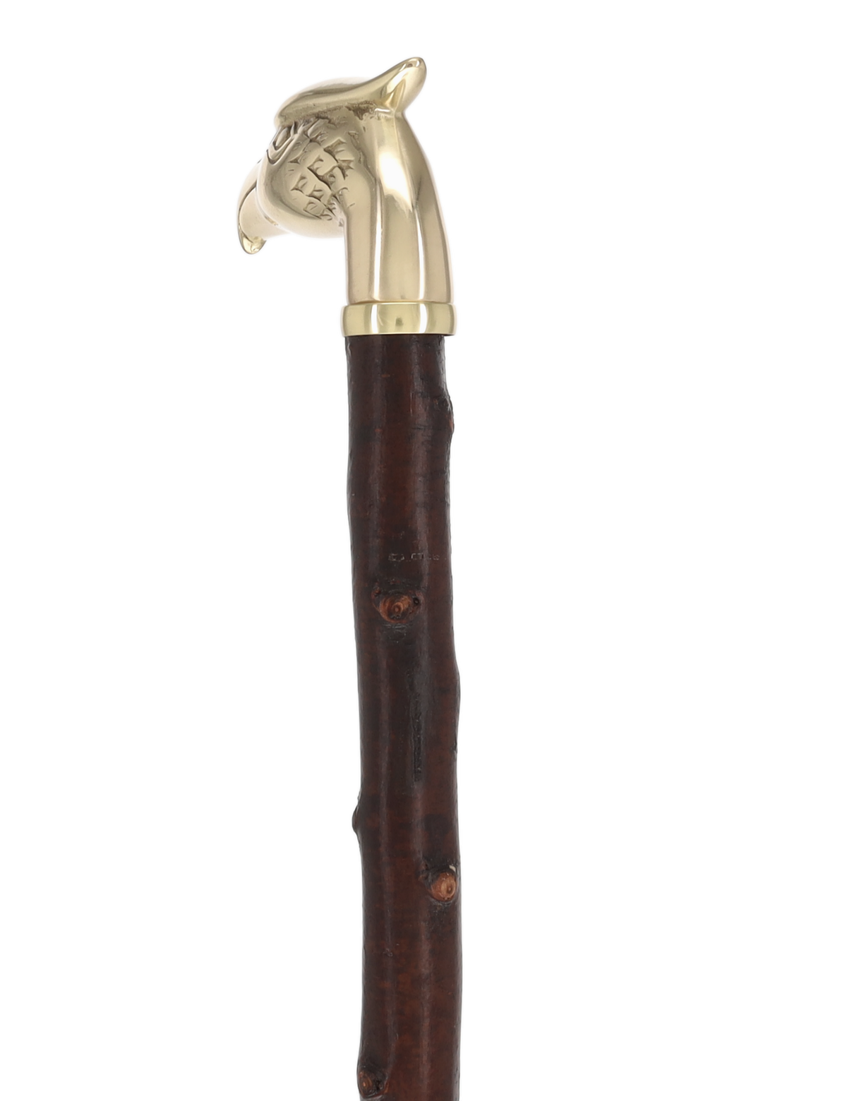 Rare Irish Blackthorn Collector's Cane | Customizable Handle Options