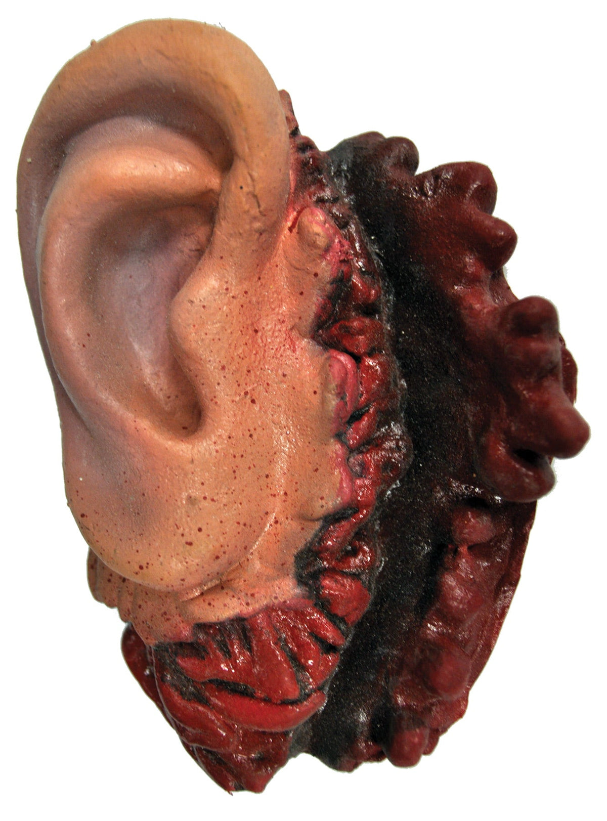 Latex Ear