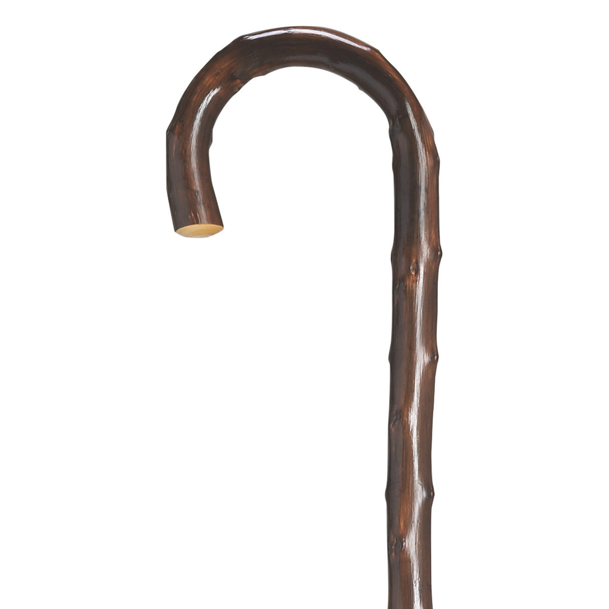 Men's 36 Genuine Congo Chestnut Walking Cane - German Made