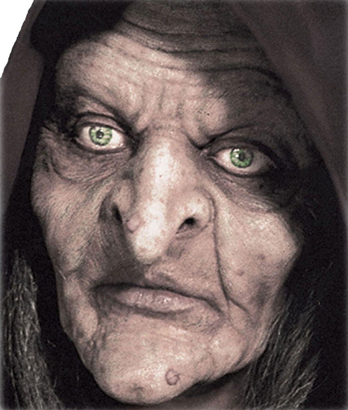 Swamp Witch Prepainted Foam