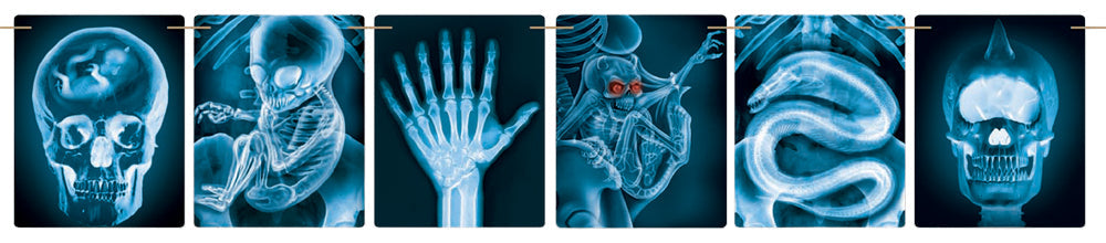 Mad Scientist X-ray Banner 9'