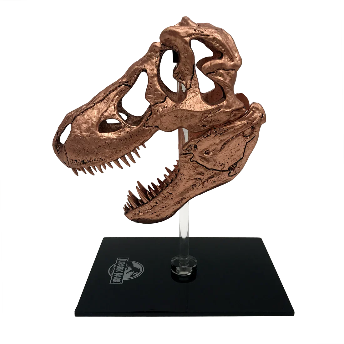 Factory Entertainment Jurassic Park T-Rex Skull Scaled Prop Replica