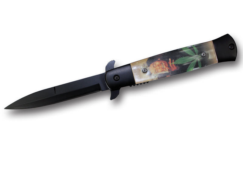 Stiletto Style Spring Assisted Opening Pocket Knife