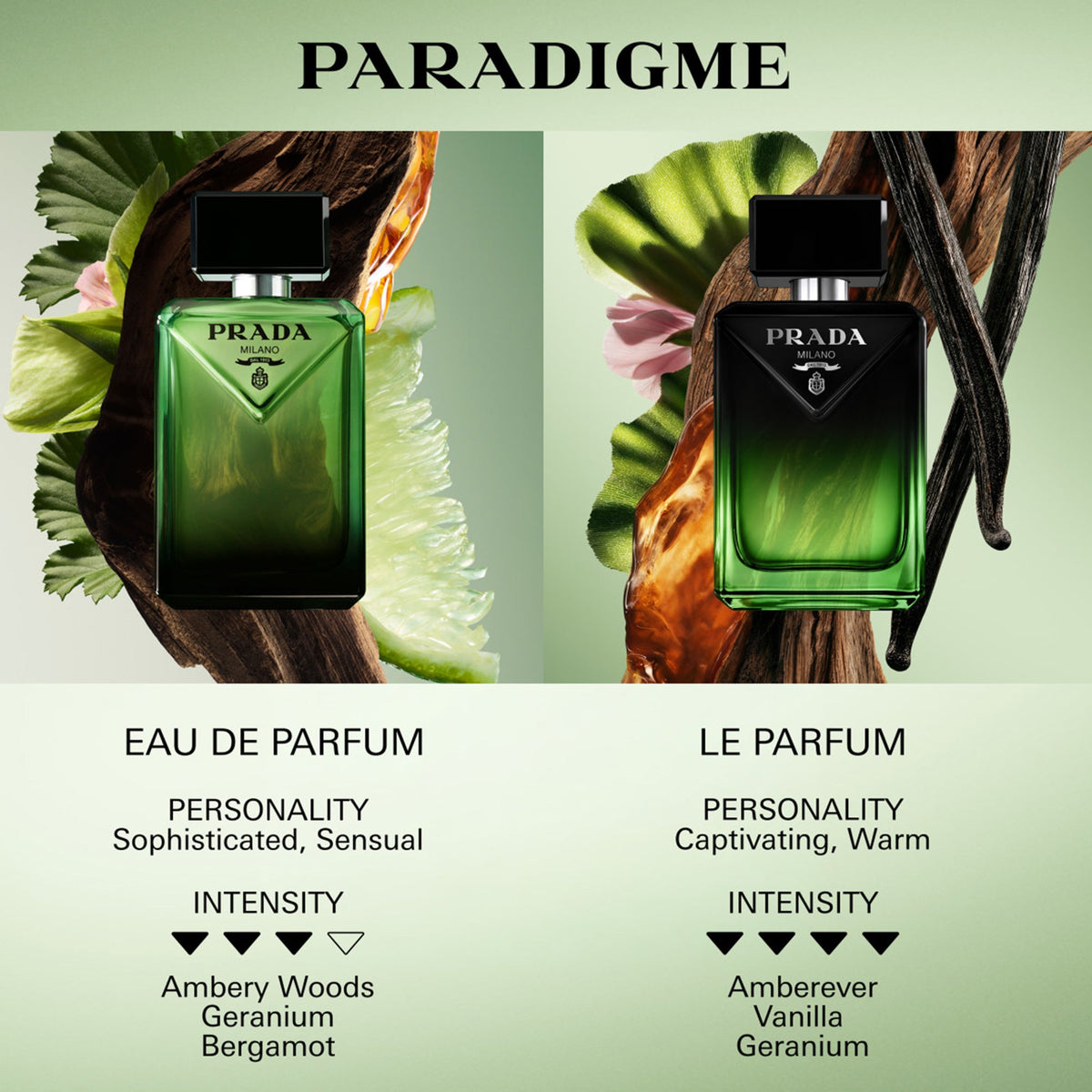 Prada Paradigme Le Parfum 50ml Spray