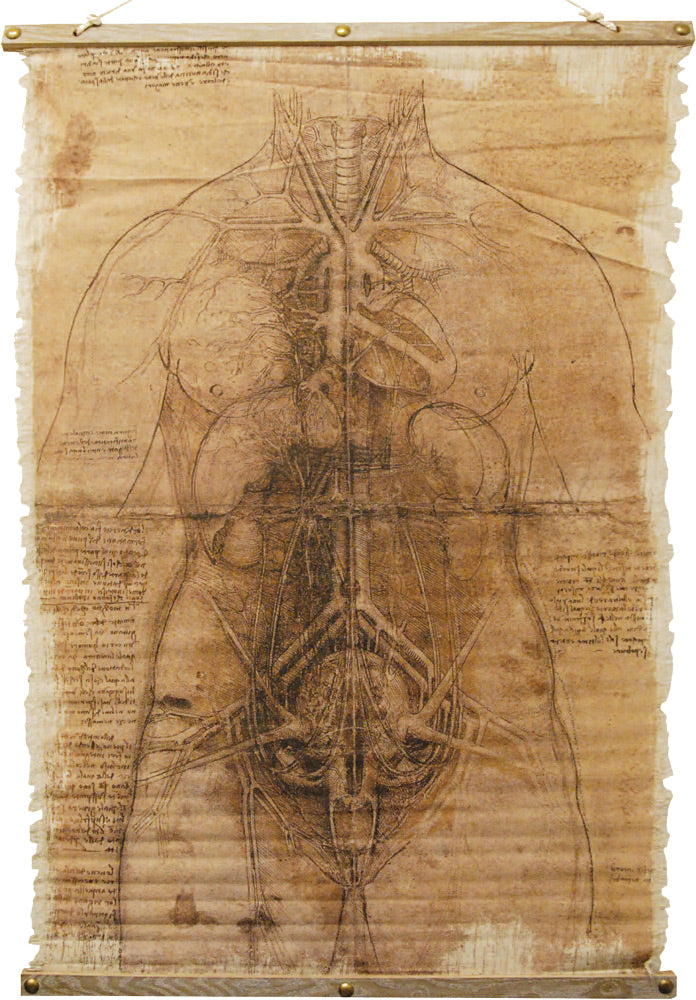 Skeleton Scroll