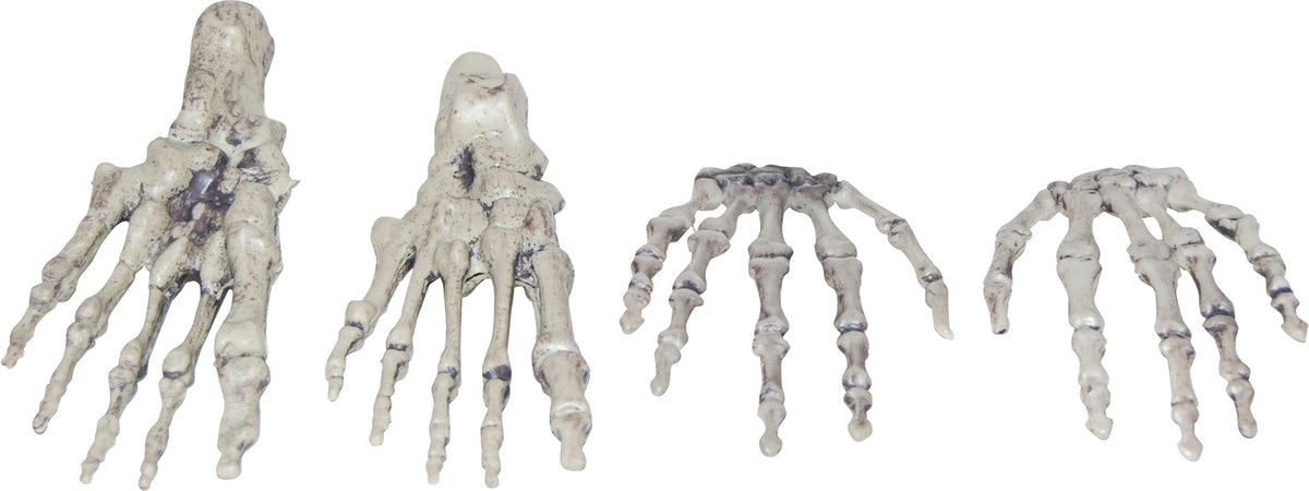 Skeleton Hands & Feet