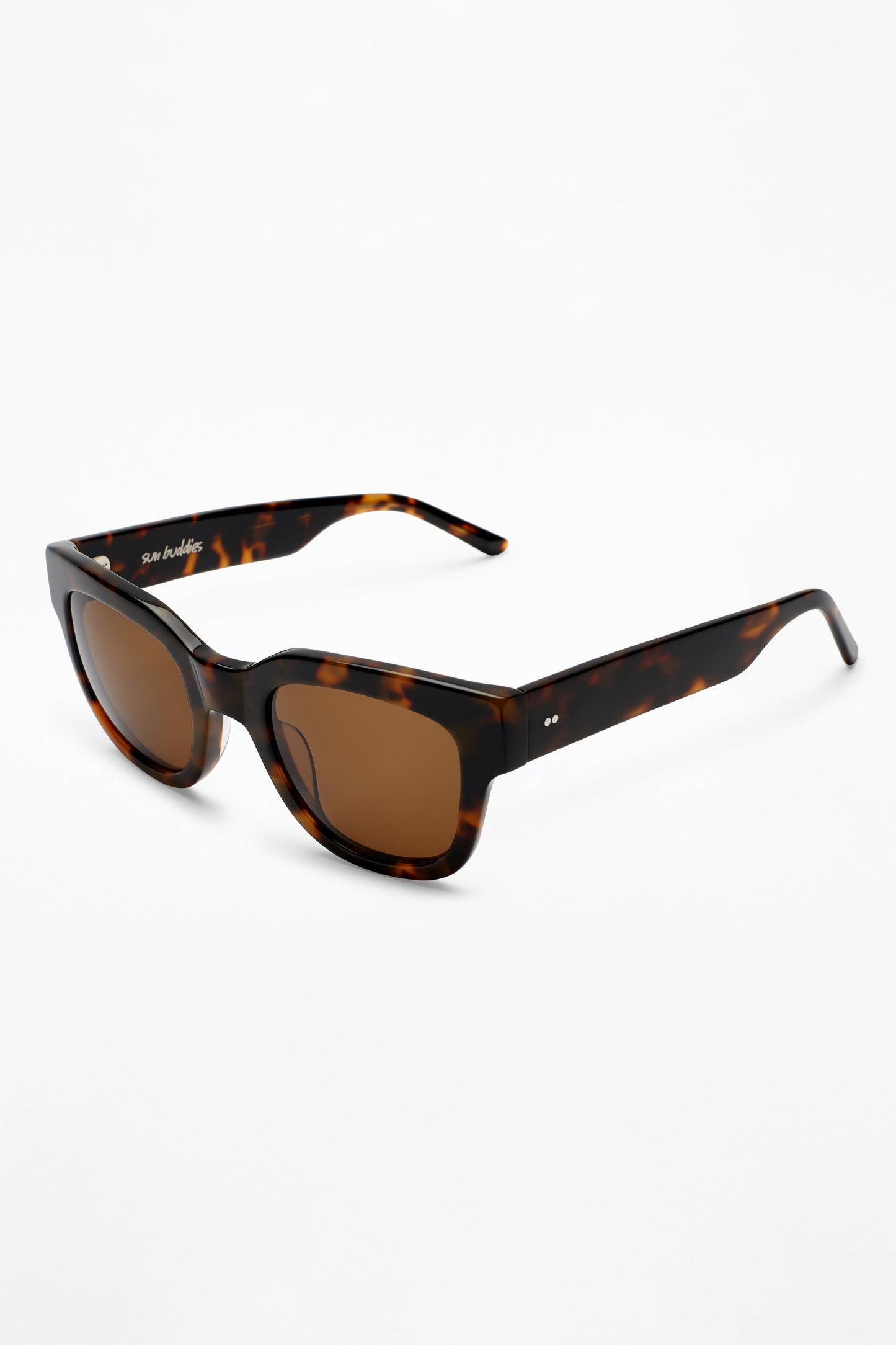 Sun Buddies Liv Tortoise