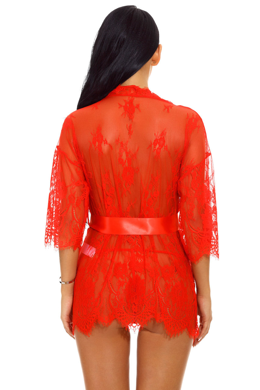 Eyelash Lace and Mesh Robe