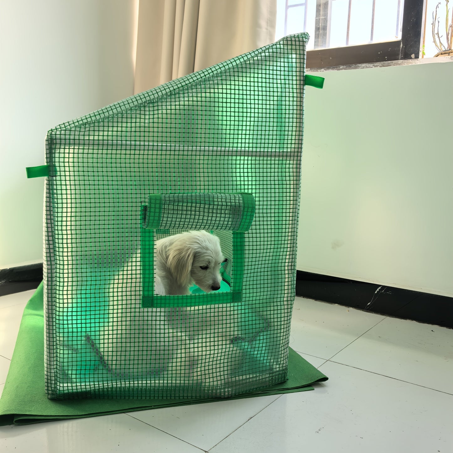 Dome Greenhouse Shelter for Plants & Pets