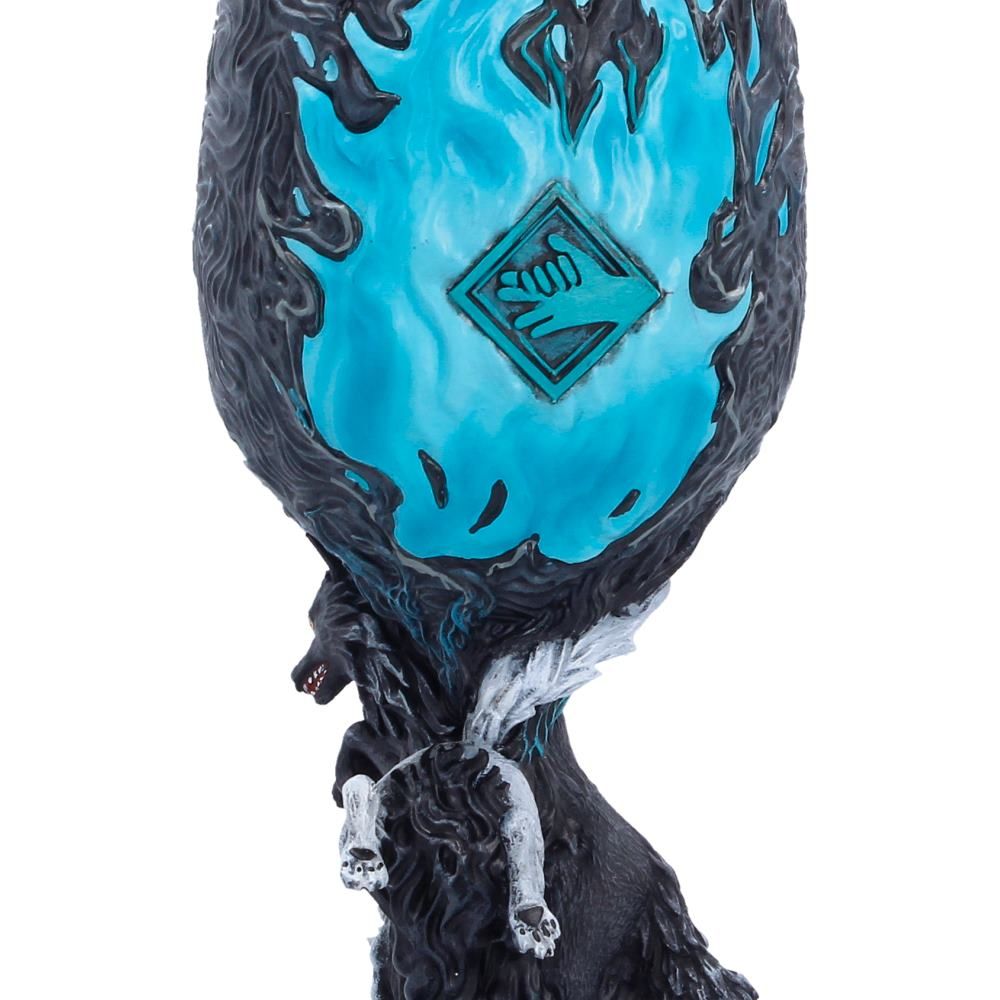Jujutsu Kaisen – Megumi Fushiguro Goblet