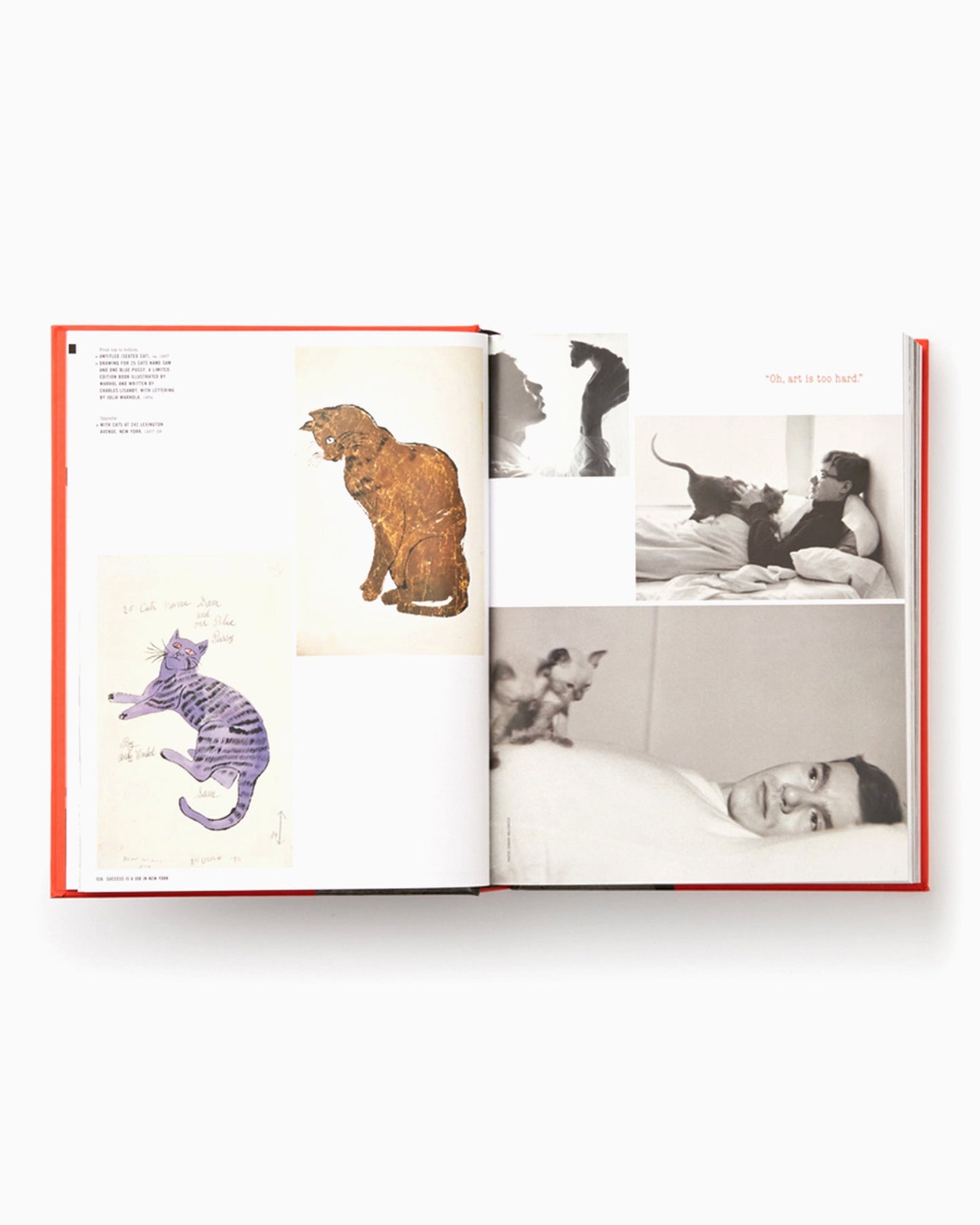 Andy Warhol "Giant" Size Phaidon Editors By Dave Hickey