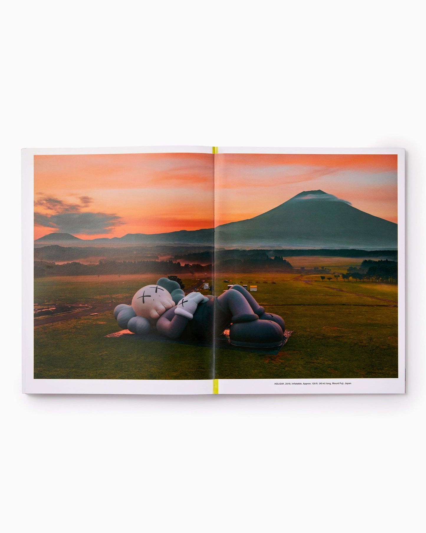 Phaidon KAWS: What Party