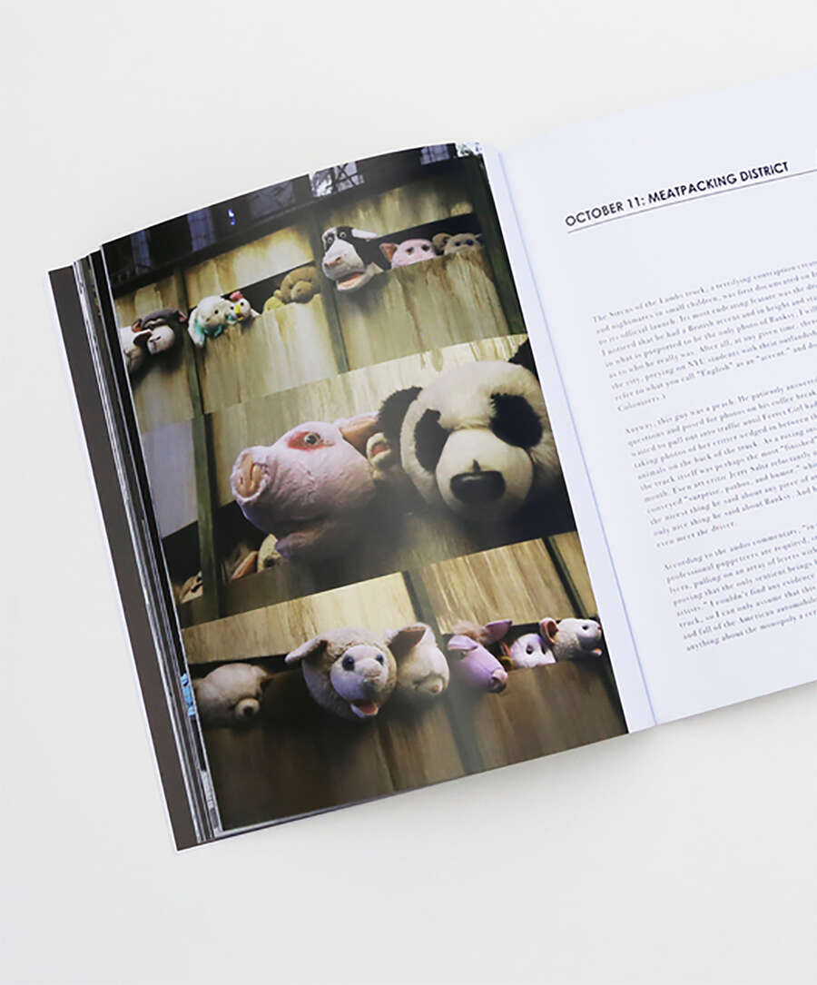 Rizzoli Banksy in New York Book