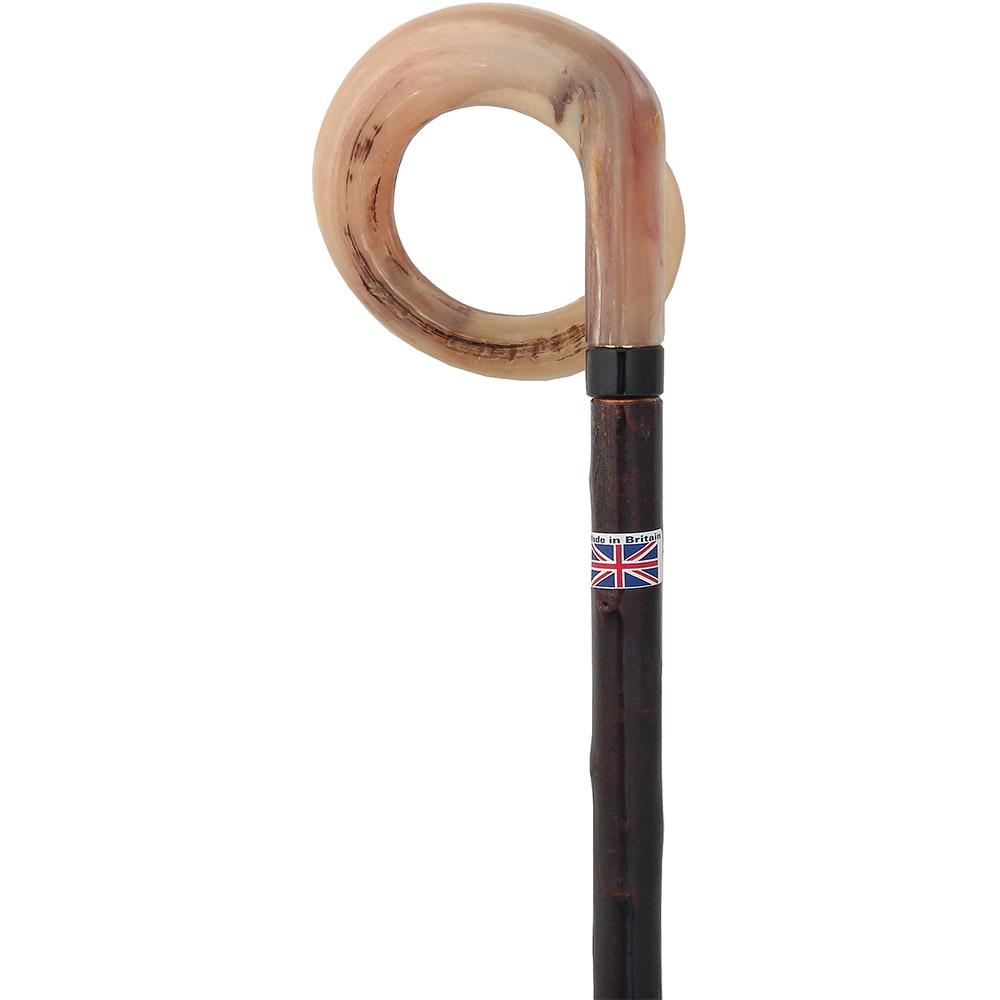 Curly Rams horn Handle Hiking Staff With Blackthorn wood Shaft