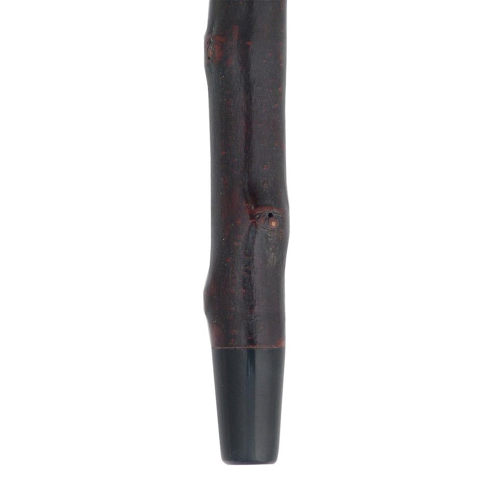 Curly Rams horn Handle Hiking Staff With Blackthorn wood Shaft