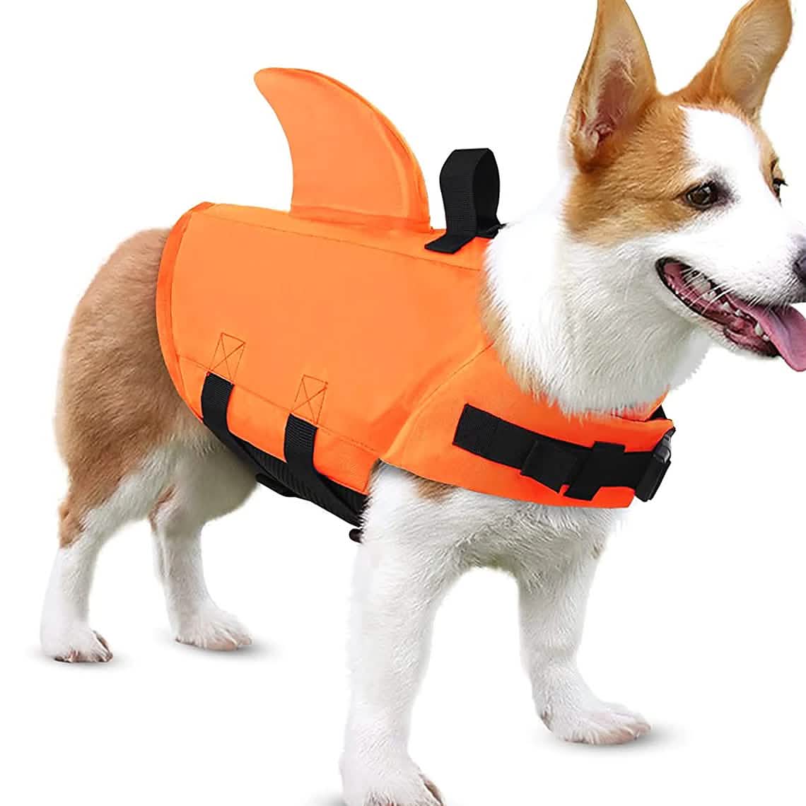 Dog Swimsuit with Shark Fin