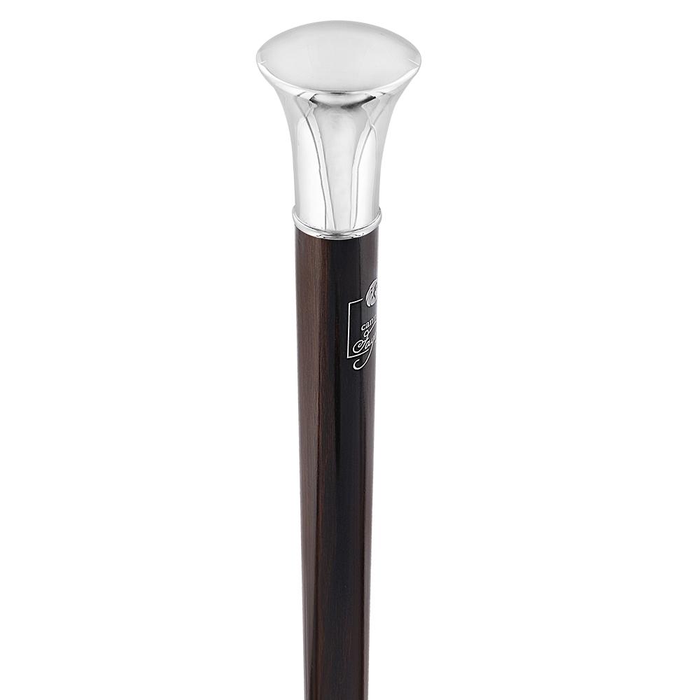 Luxury Silver Sword-Gadget Stick: Flat Handle, Carbon Fiber
