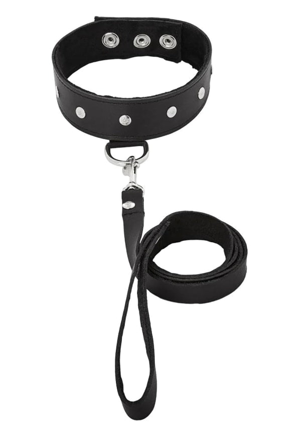 Leather Collar & Leash