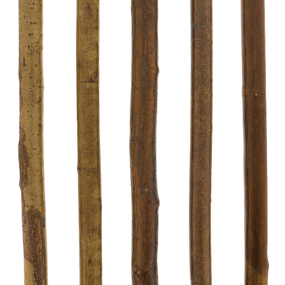 Natural Charm: Hazelwood Root Knobbed Cane with Leather Strap