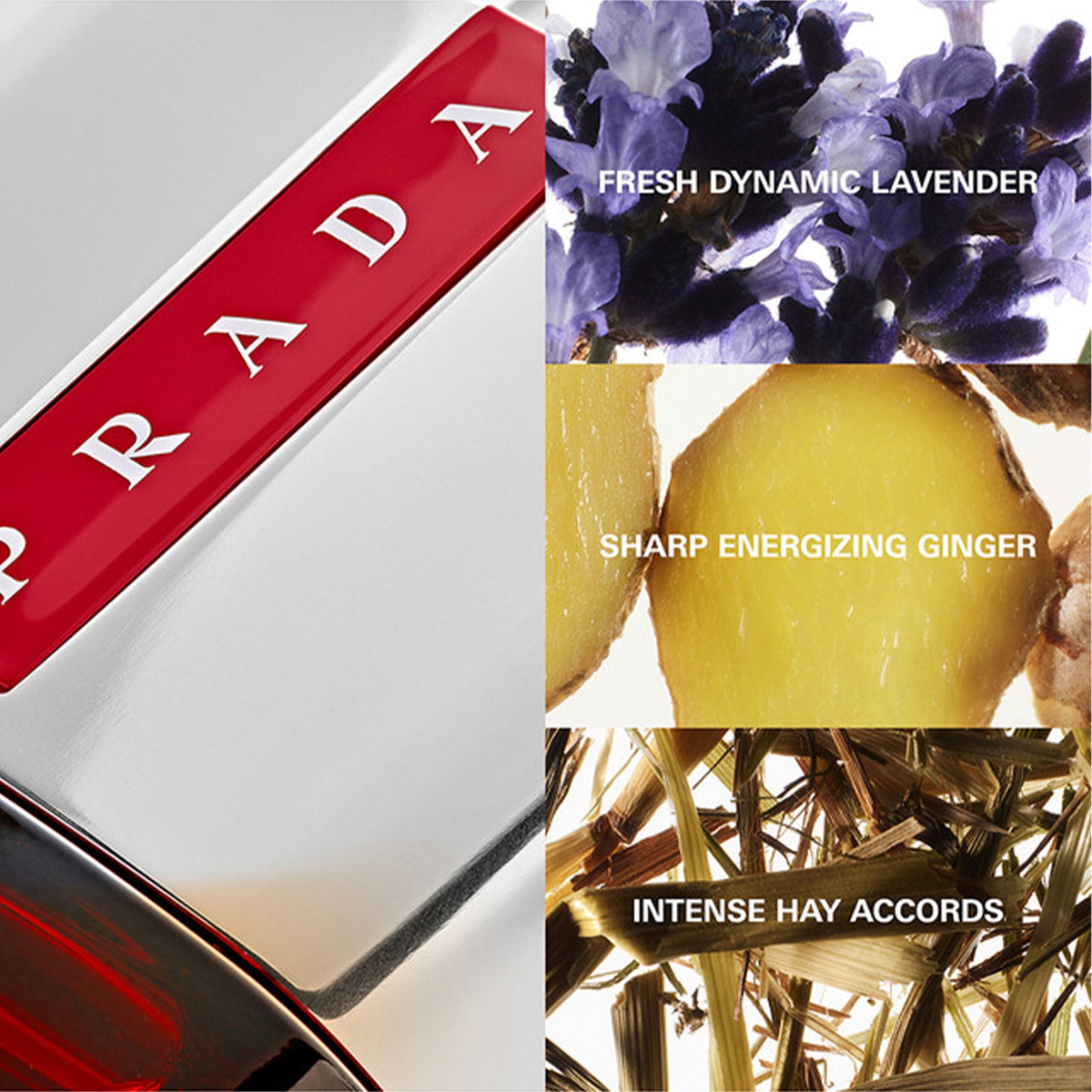 Prada Luna Rossa Sport Eau De Toilette 50ml Spray