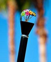 Real Dried Flower Clear Lucite Knob Stick: Beechwood Shaft
