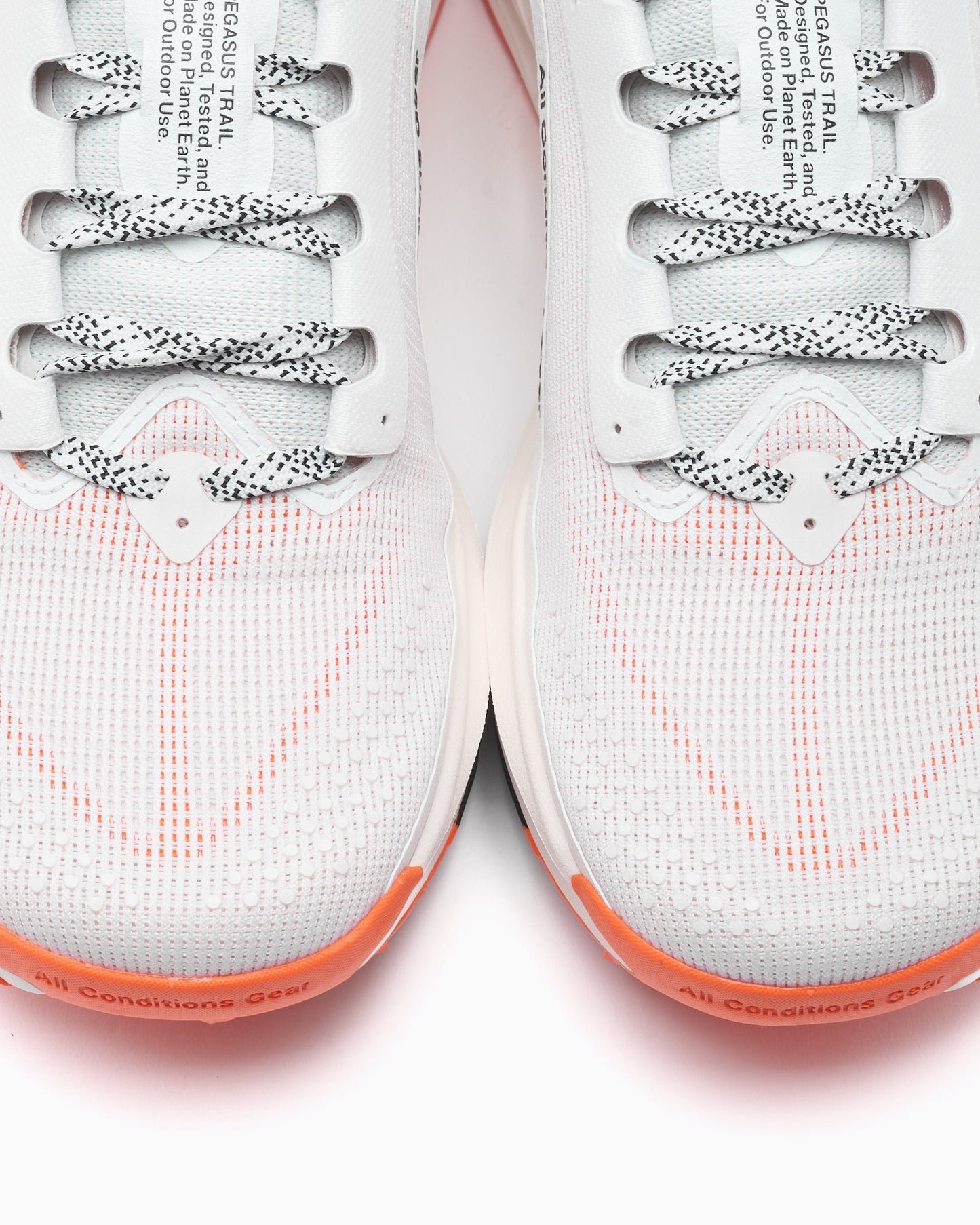 Nike ACG Pegasus Trail