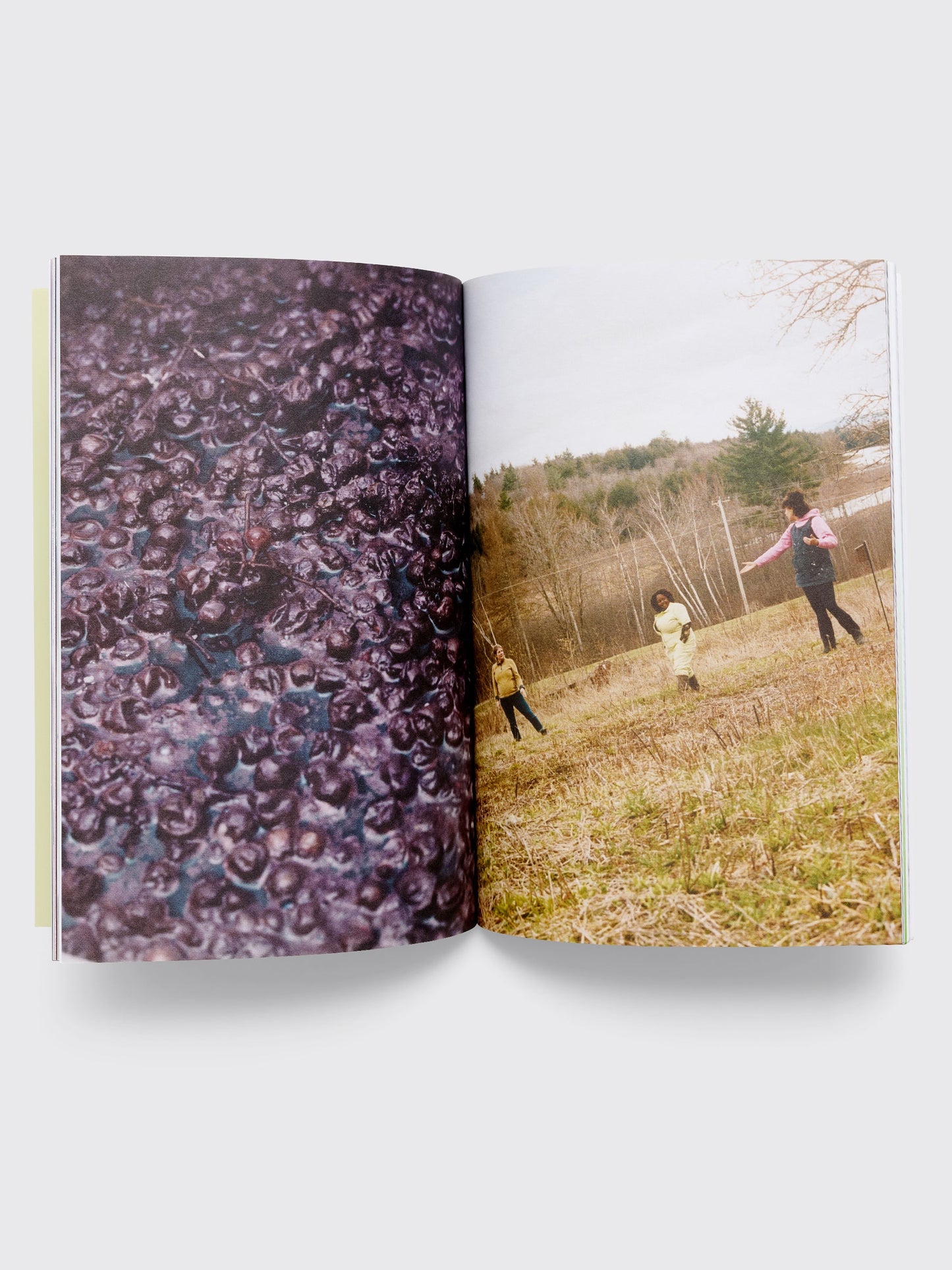 The Wine Zine Issue 07