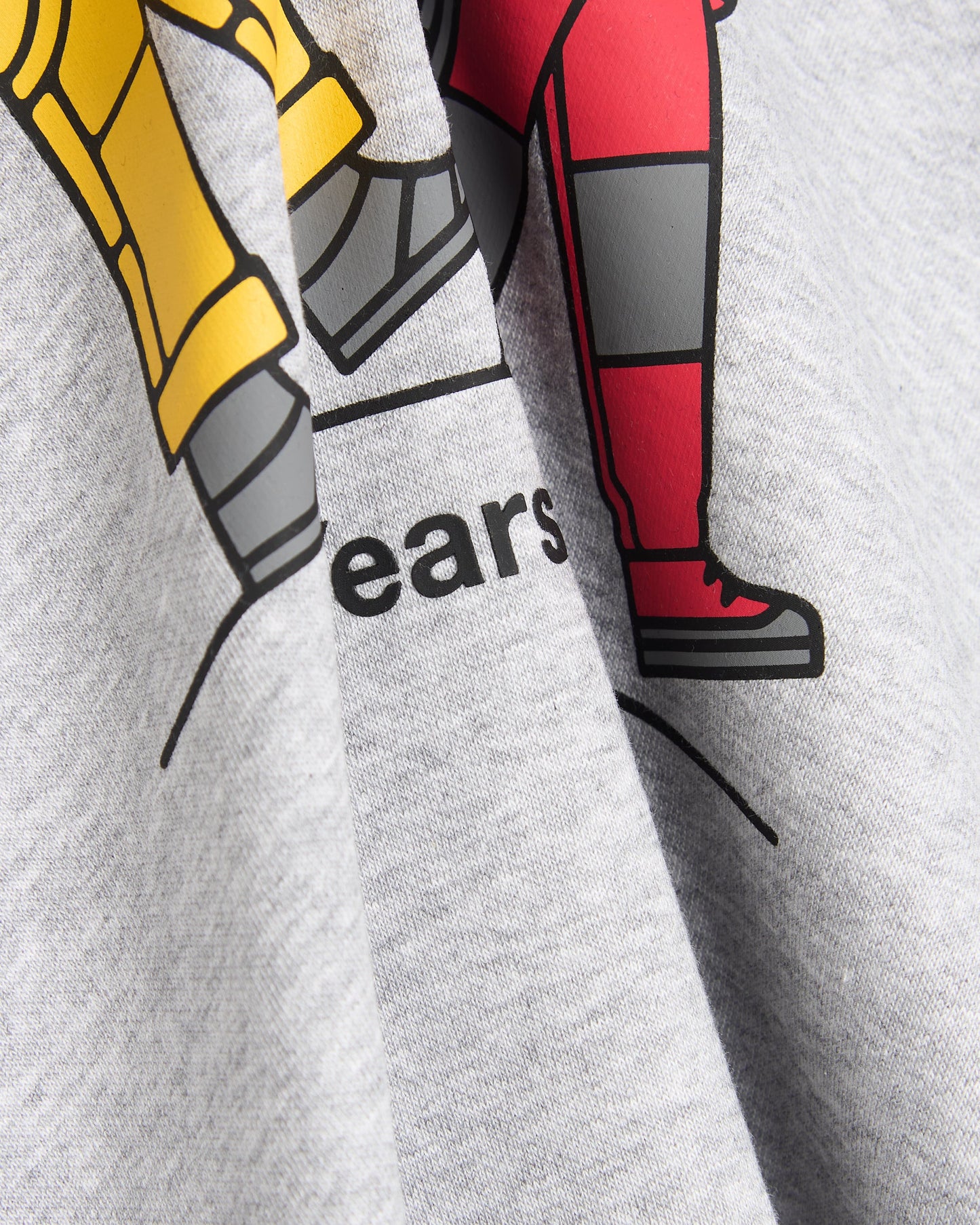 Sudadera con gráfico Relaxed The North Face Celebration Unisex