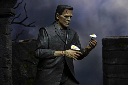 Universal Monsters – Ultimate Frankenstein's Monster (Colour) Action Figure