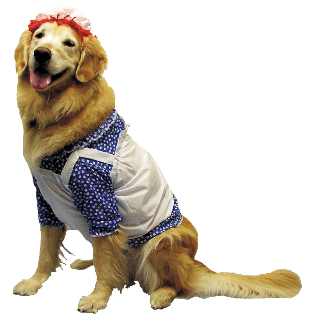 Raggedy Ann Pet Costume