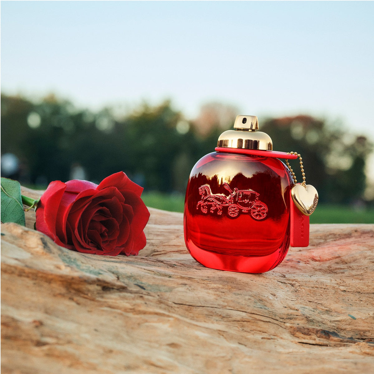 Coach Love Eau De Parfum 50ml Spray
