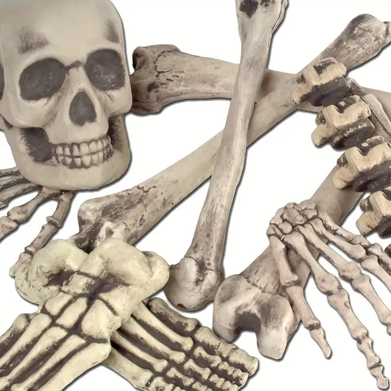 2 Sets Skeleton Body Part Props – 12-Piece Plastic Scatter Bones