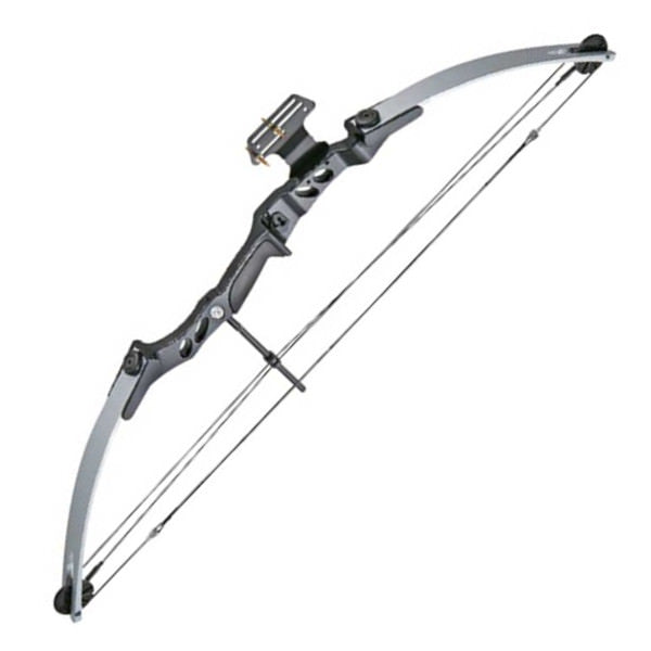 55 LBS 29" Draw Length Archery Hunting Compound Bow Speed 206FPS - TOPHATTER'S ARMORY DEALS