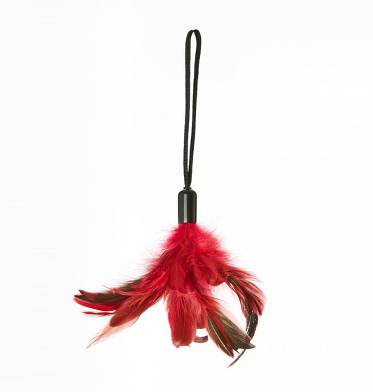 Rose Pleasure Feather