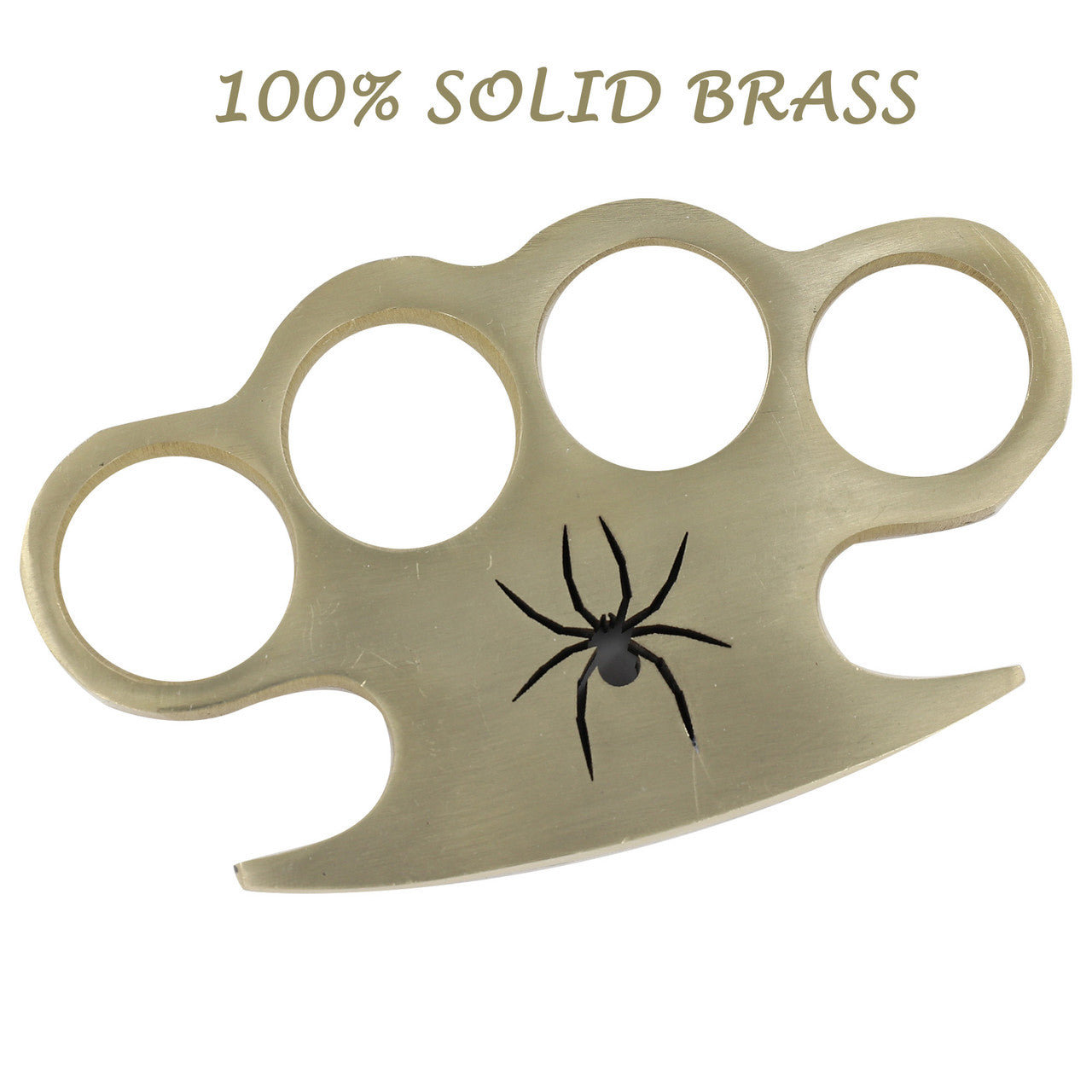 Arachnid  Solid Brass Knuckle Paper Weight