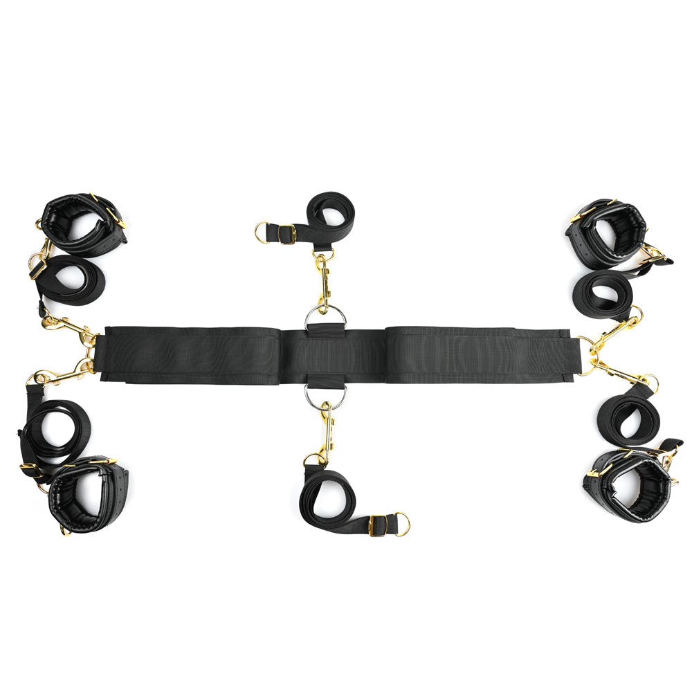 Special Edition Under the Bed® Restraint System