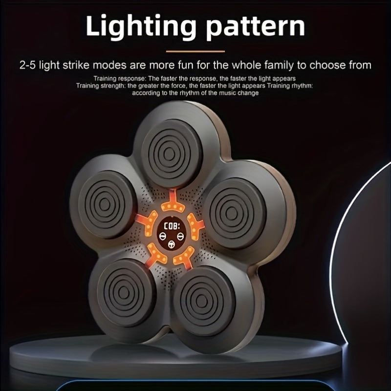 Boxing Training Kit with Reactive LED Wall Punching Target(Black)