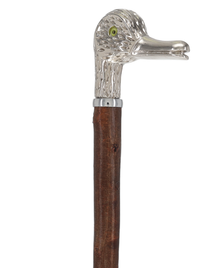 Rare Irish Blackthorn Collector's Cane | Customizable Handle Options