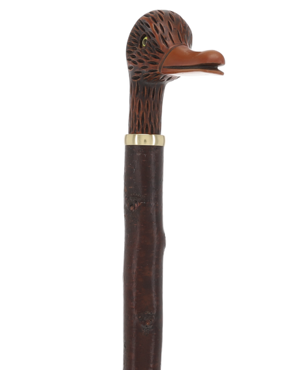 Rare Irish Blackthorn Collector's Cane | Customizable Handle Options
