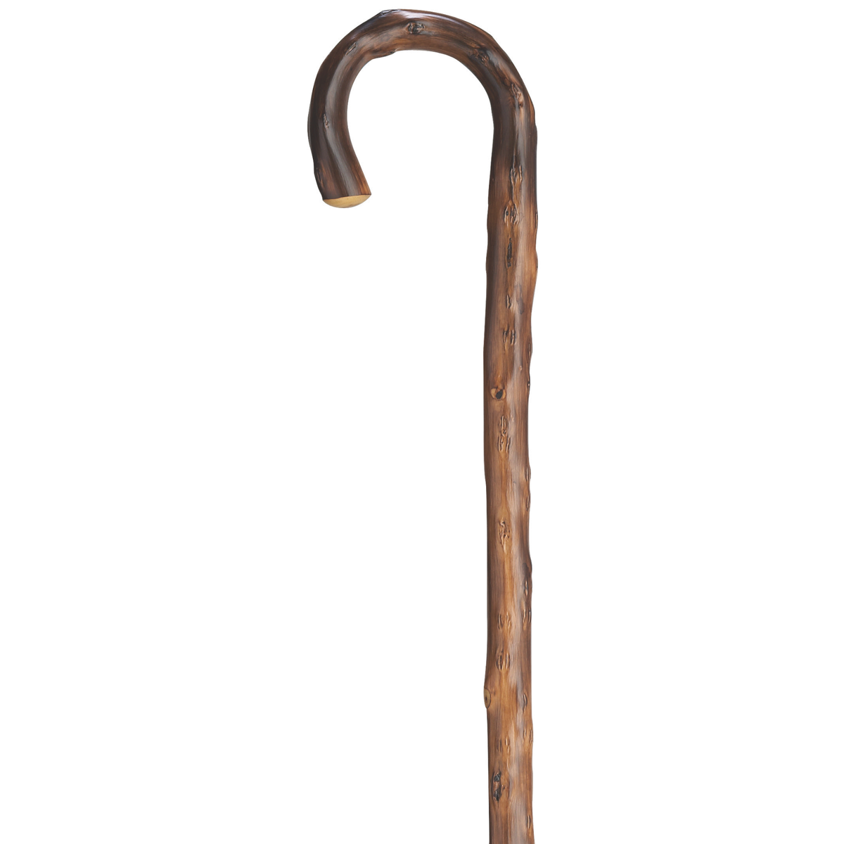 Men's German Chestnut Cane, Crook Handle, 36, Spike Ferrule