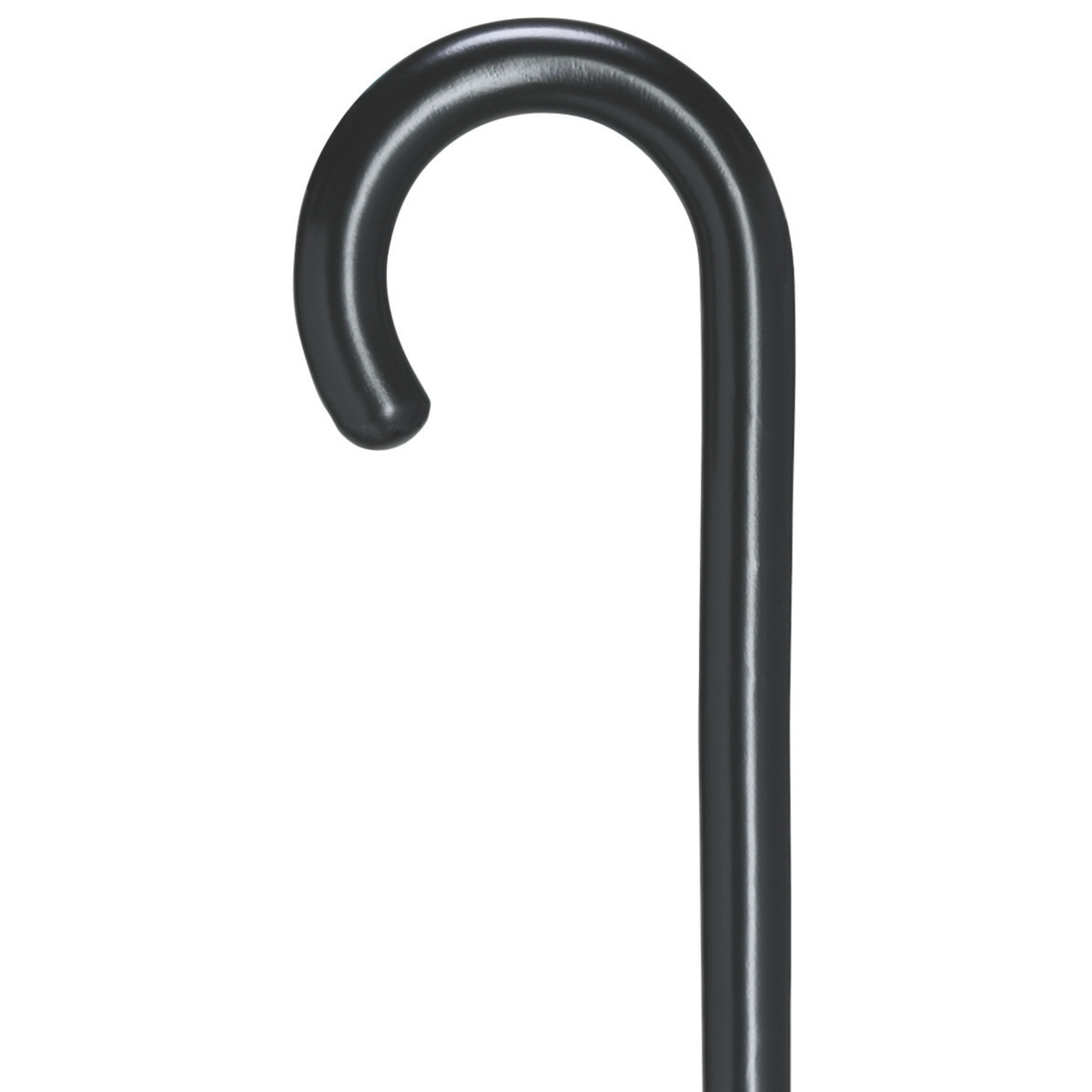 Fashion Color Tourist Cane-Black